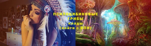 ГАЛЛЮЦИНОГЕННЫЕ ГРИБЫ Рославль