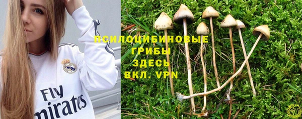 СК Абинск