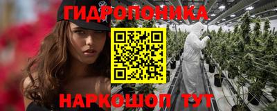 винт Сланцы