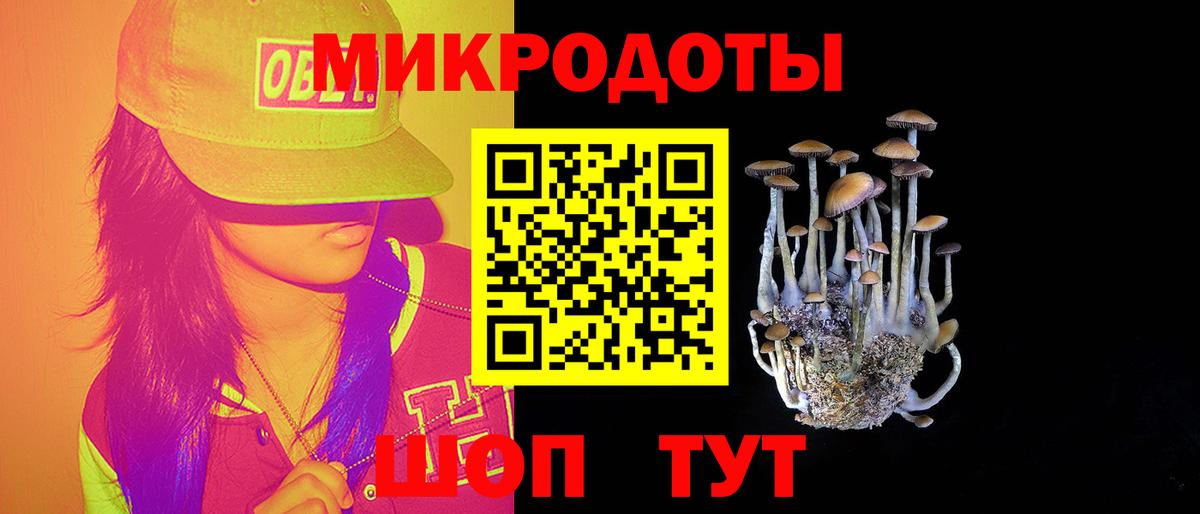 продажа наркотиков  Вход с VPN  Дальнереченск  Галлюциногенные грибы MAGIC MUSHROOMS 