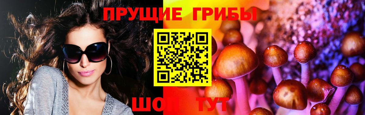 Псилоцибиновые грибы MAGIC MUSHROOMS Дальнереченск